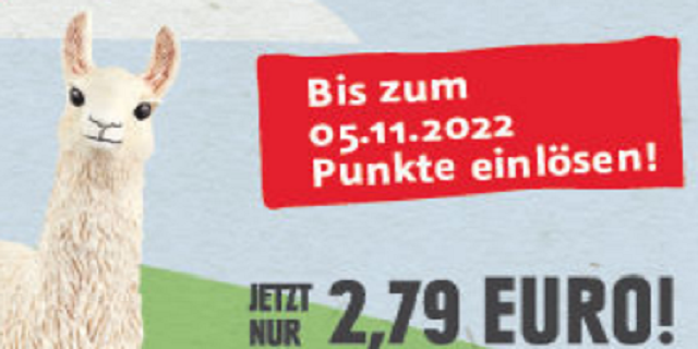 Auf zum Endspurt!