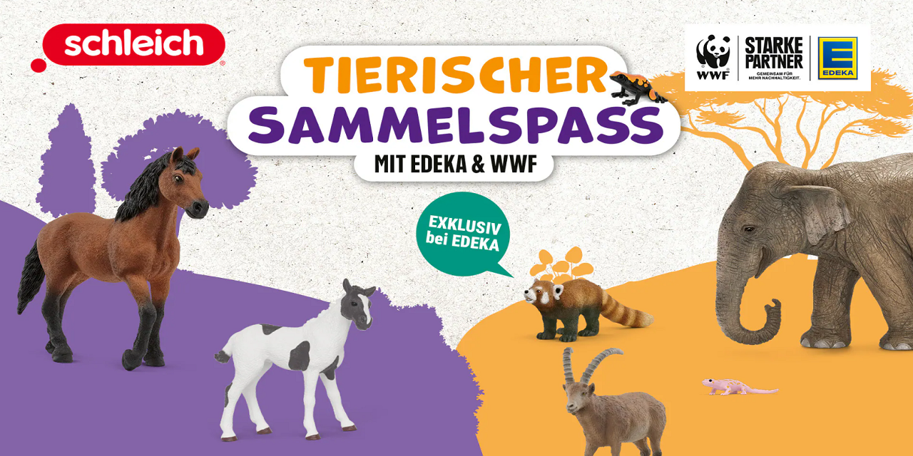 Jetzt noch schnell Punkte sammeln!